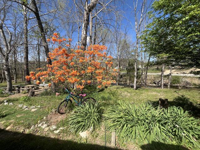 999 Kilburn Hollow Rd, Waynesboro, TN 38485