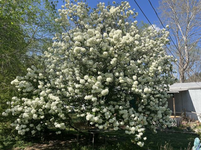 999 Kilburn Hollow Rd, Waynesboro, TN 38485