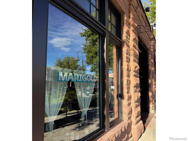 47 Pyrite Way, Lyons, CO 80540