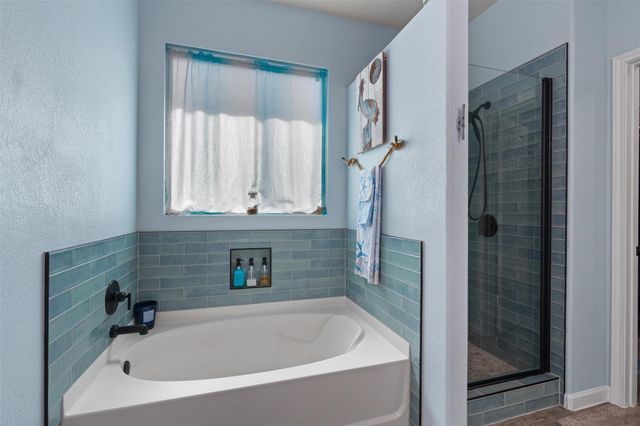 11737 Voelker Reinhardt WAY, Manor, TX 78653