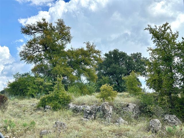 TBD! County RD 325, Goldthwaite, TX 76844