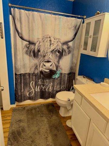 707 S Sunmeadow Drive, Strafford, MO 65757