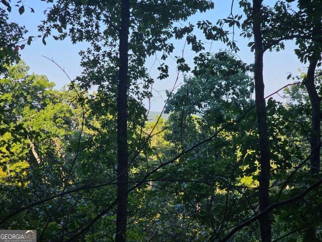 391 Meteor Court 391, Ranger, GA 30734