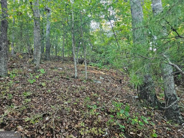 391 Meteor Court 391, Ranger, GA 30734