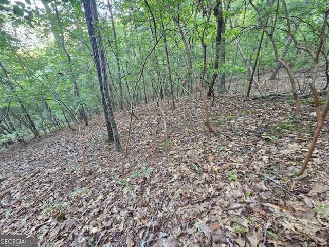 391 Meteor Court 391, Ranger, GA 30734