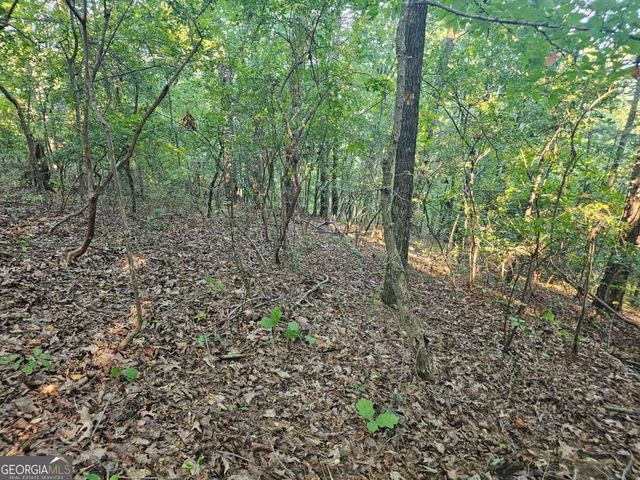 391 Meteor Court 391, Ranger, GA 30734