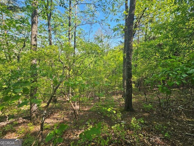 391 Meteor Court 391, Ranger, GA 30734