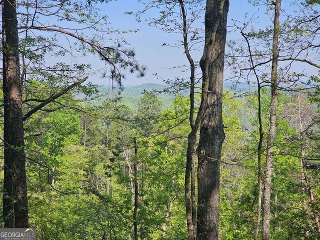 391 Meteor Court 391, Ranger, GA 30734