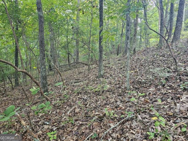 391 Meteor Court 391, Ranger, GA 30734