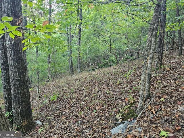 391 Meteor Court 391, Ranger, GA 30734