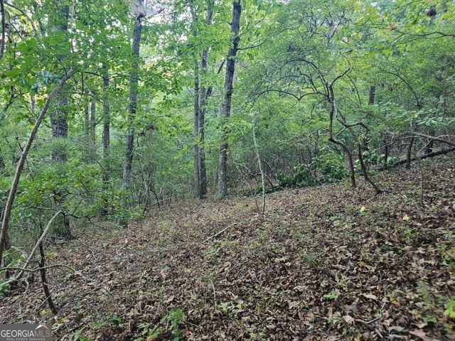 391 Meteor Court 391, Ranger, GA 30734