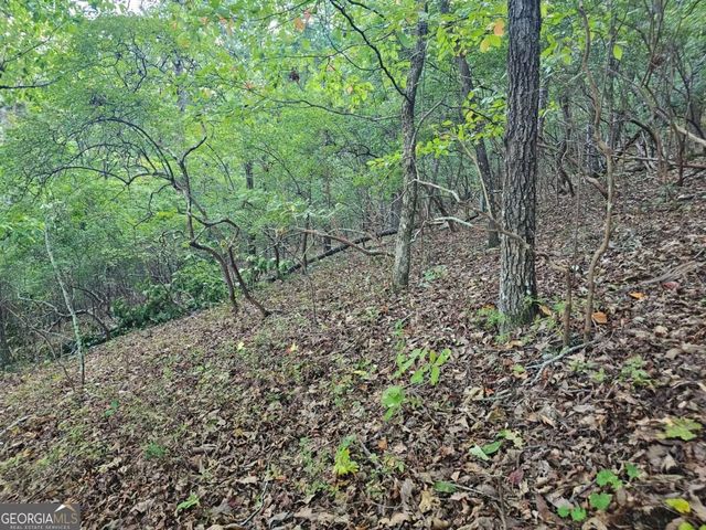 391 Meteor Court 391, Ranger, GA 30734