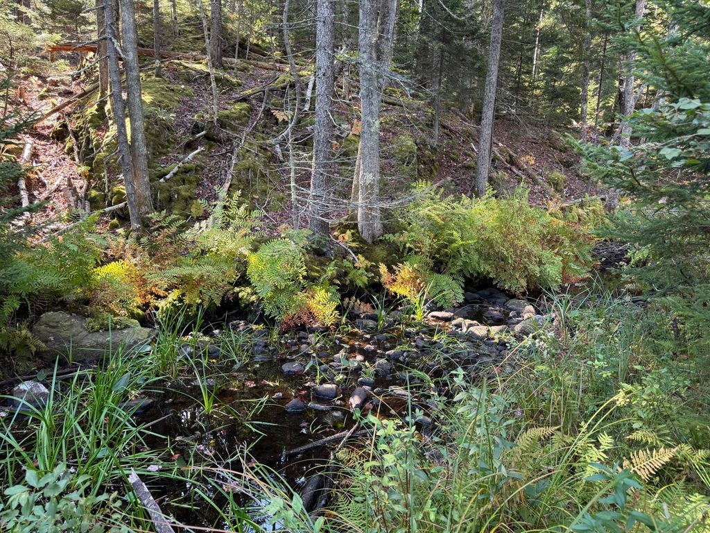 0 Main Road, Phippsburg, ME 04565 — photo 3