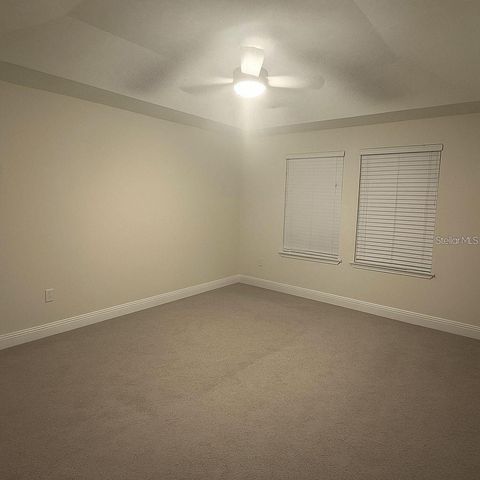 14234 DAMSELFLY DRIVE, Tampa, FL 33625