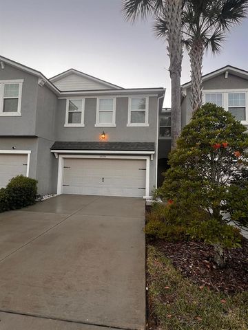 14234 DAMSELFLY DRIVE, Tampa, FL 33625