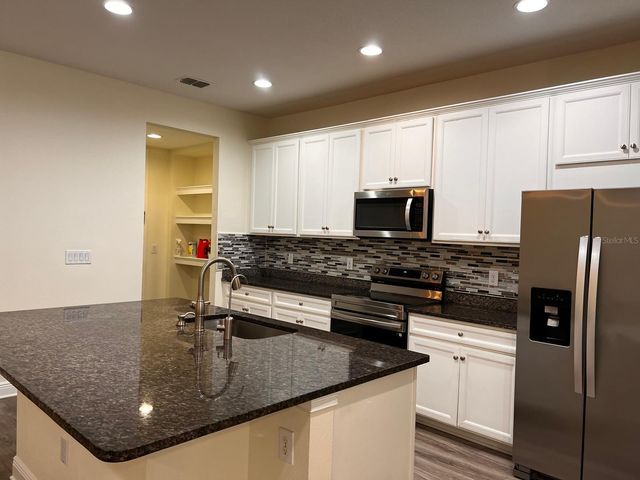 14234 DAMSELFLY DRIVE, Tampa, FL 33625