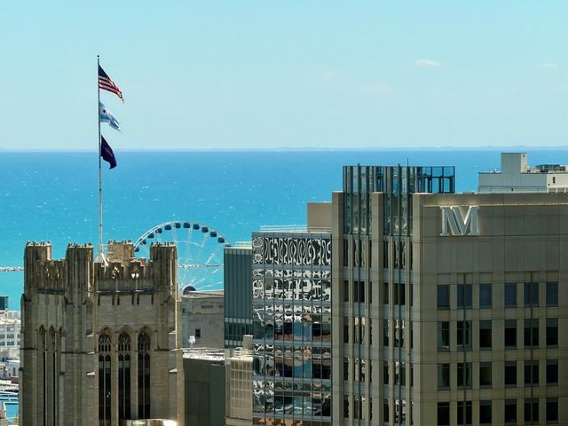 57 E Delaware Place 3102, Chicago, IL 60611