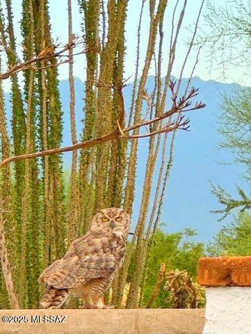 611 S Los Opalos, Green Valley, AZ 85614