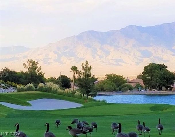 3020 Big Green Lane, Las Vegas, NV 89134