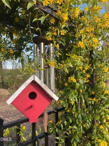 3232 Lacewing Drive, Zebulon, NC 27597