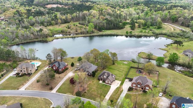 20737 WATERS VIEW, Mccalla, AL 35111