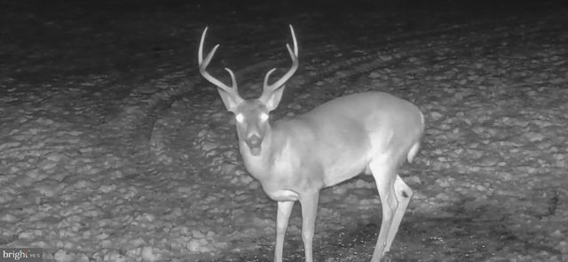 3035 STILLHOUSE HOLLOW ROAD, Shippensburg, PA 17257