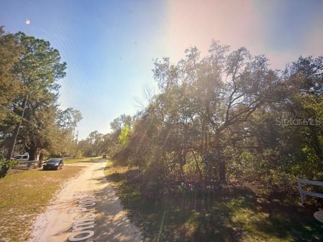 TOMS POND ROAD, Eustis, FL 32726