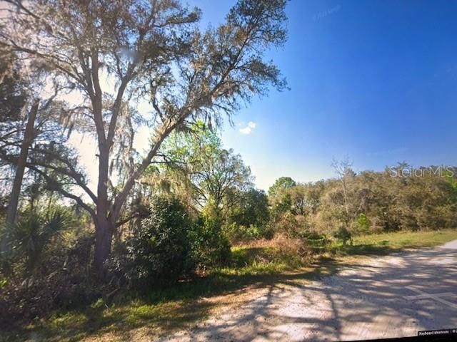 TOMS POND ROAD, Eustis, FL 32726