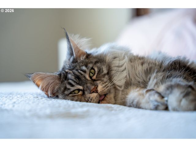 1740 N 23RD St, Washougal, WA 98671