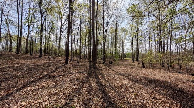 441 Reddie Road, Stoneville, NC 27048