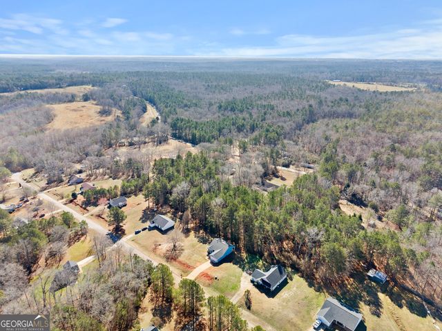 83 Sydney Woods Drive, Forsyth, GA 31029