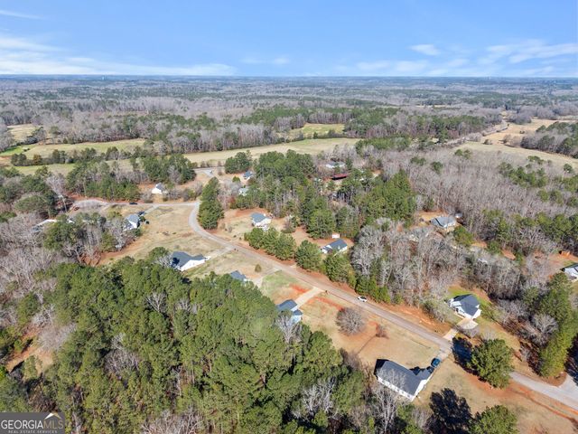 83 Sydney Woods Drive, Forsyth, GA 31029