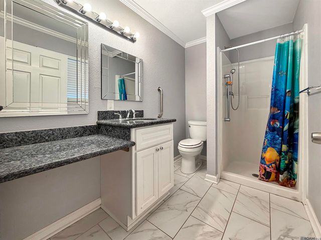 2411 Chantulane Ave, Denham Springs, LA 70726