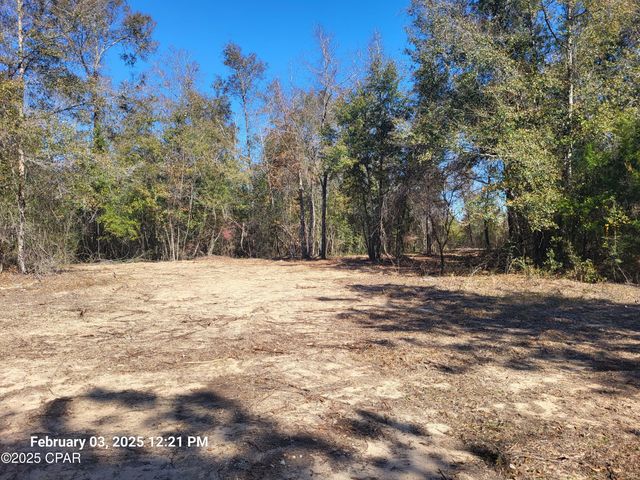 00 Tommy Tucker Road Lot 3, Altha, FL 32421