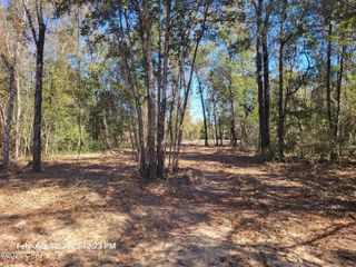 00 Tommy Tucker Road Lot 3, Altha, FL 32421
