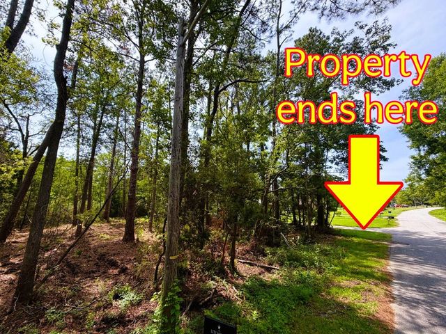 TBD Oak St., Georgetown, SC 29440