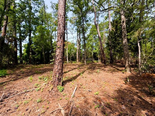 TBD Oak St., Georgetown, SC 29440