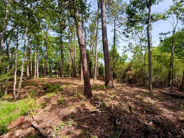 TBD Oak St., Georgetown, SC 29440