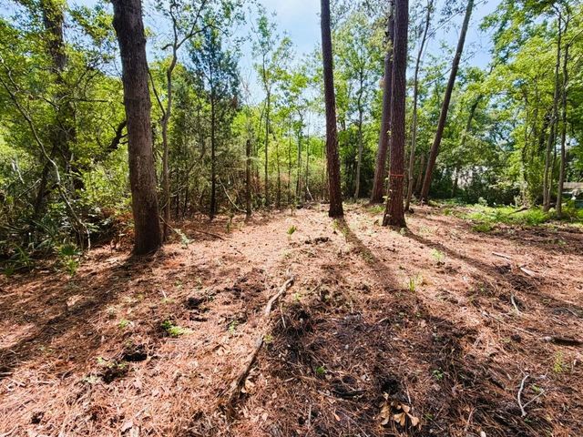 TBD Oak St., Georgetown, SC 29440