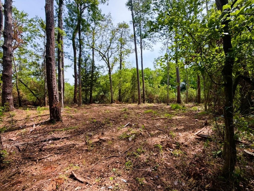 TBD Oak St., Georgetown, SC 29440 — photo 4