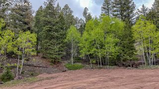 918 Pinon Lane, Florissant, CO 80816