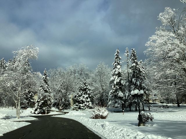 10C Joshua Loop Road, Jackson, NH 03846