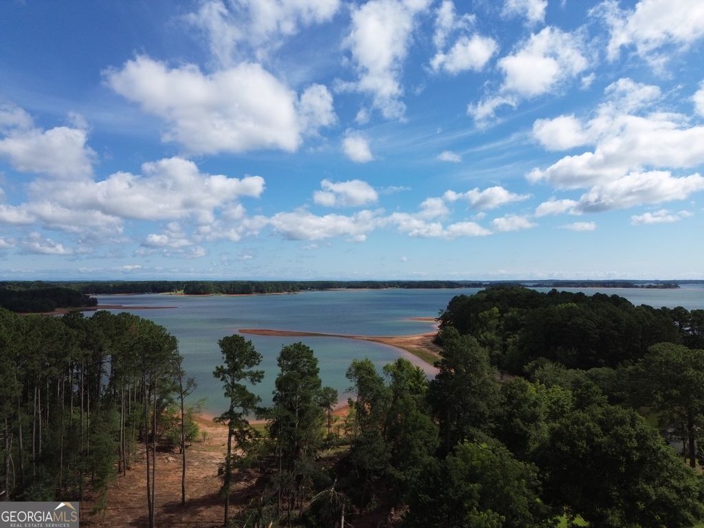 257 Methodist Park Lane, Hartwell, GA 30643 — photo 5