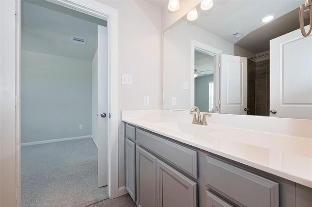 29310 Sweet Orange Court, Katy, TX 77494