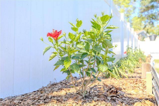 10002 OAKENGATE PLACE, Tampa, FL 33624