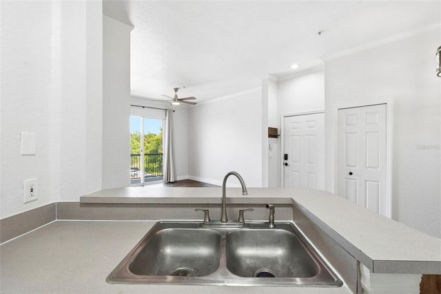 18106 PEREGRINES PERCH PLACE 5302, Lutz, FL 33558