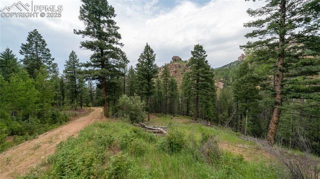 826 Lost Canyon Heights, Cripple Creek, CO 80813