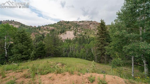 826 Lost Canyon Heights, Cripple Creek, CO 80813