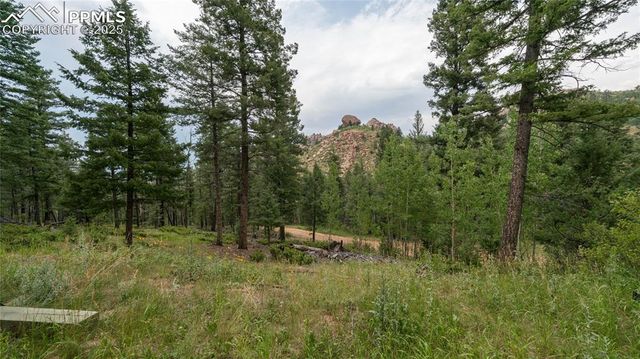826 Lost Canyon Heights, Cripple Creek, CO 80813