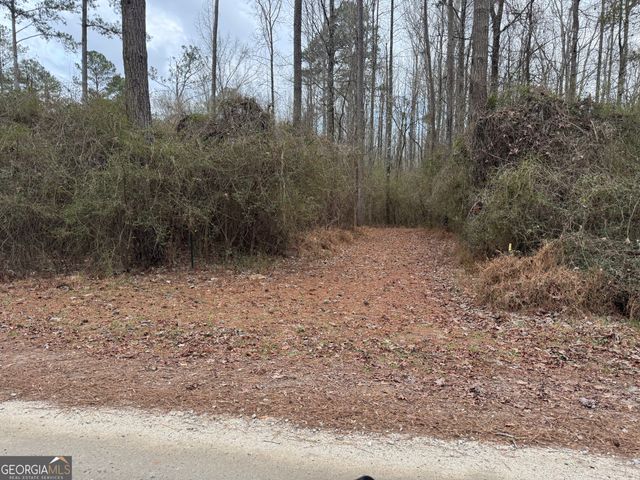 580 I B Howard Road, Williamson, GA 30292